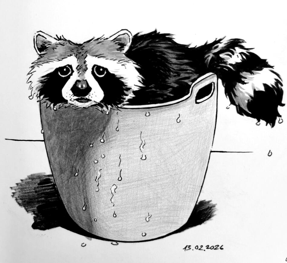 Raccoon in ink Raccoon in ink